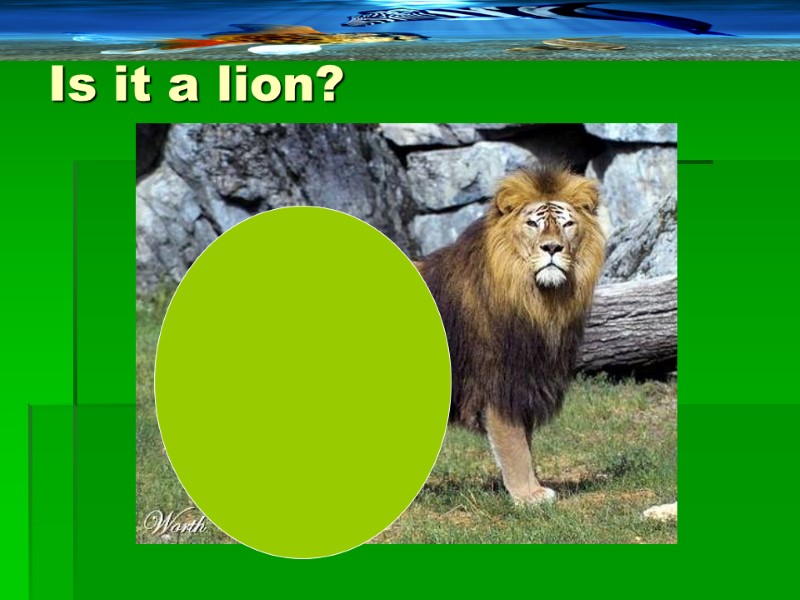 Is it a lion?